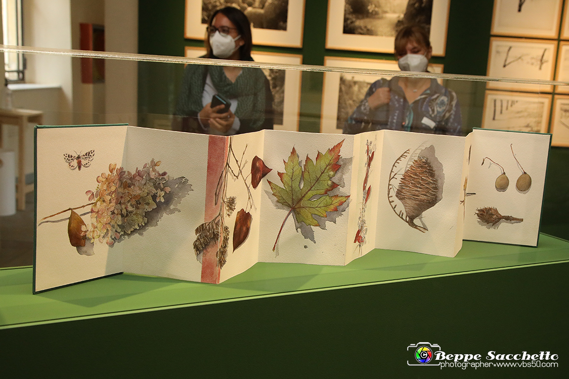 VBS_1201 - Castello di Miradolo - Mostra Oltre il giardino l'Abbecedario di paolo Pejrone.jpg